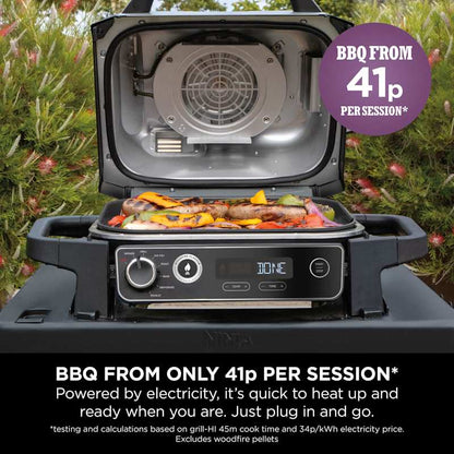Woodfire Electric BBQ Grill & Smoker with Stand & Cover