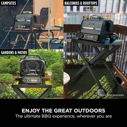 Woodfire Electric BBQ Grill & Smoker with Stand & Cover